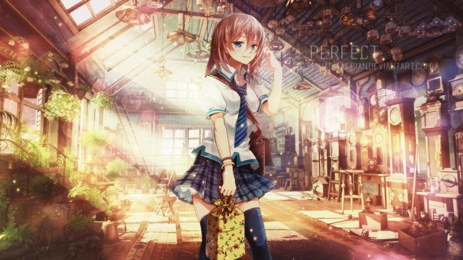 谁在半夜看过鱼缸里的鱼，它们都在干什么？